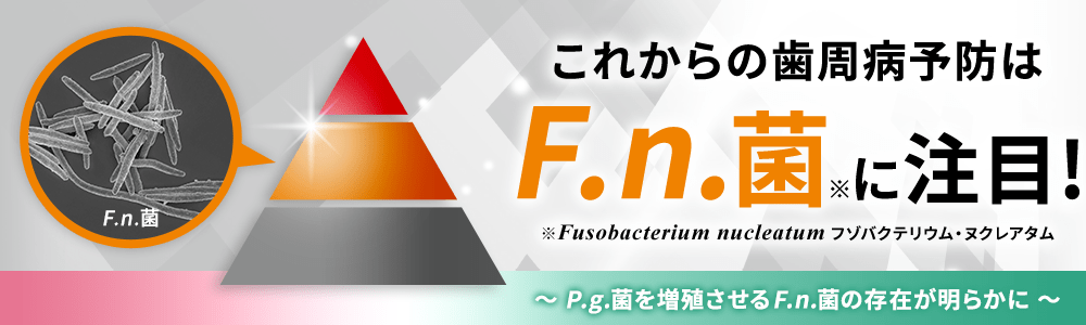 これからの歯周病予防はF.n.菌※に注目!～P.g.菌を増殖させるF.n.菌の存在が明らかに～※Fusobacterium nucleatum フゾバクテリウム・ヌクレアタム