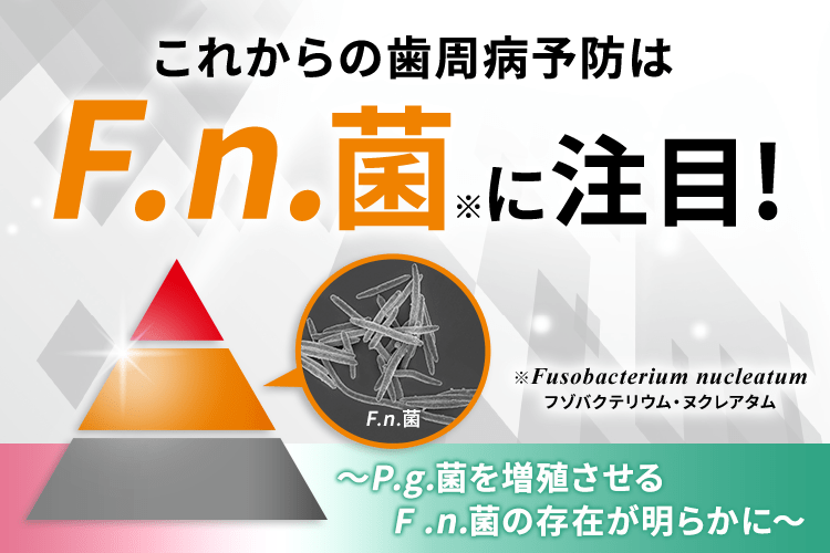 これからの歯周病予防はF.n.菌※に注目!～P.g.菌を増殖させるF.n.菌の存在が明らかに～※Fusobacterium nucleatum フゾバクテリウム・ヌクレアタム
