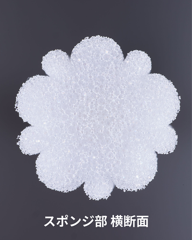 スポンジ部横断面