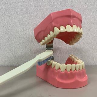 ★集団指導★へ臨むにあたって