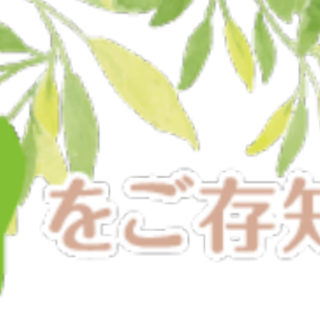 BIRステップについて