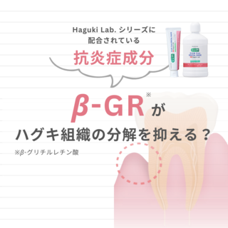 Haguki Lab. シリーズに配合されている抗炎症成分
β-GR（β-グリチルレチン酸）がハグキ組織の分解を抑える？