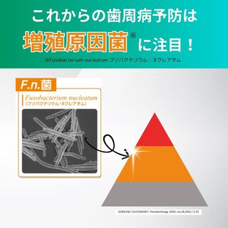 新たに注目！歯周病菌について