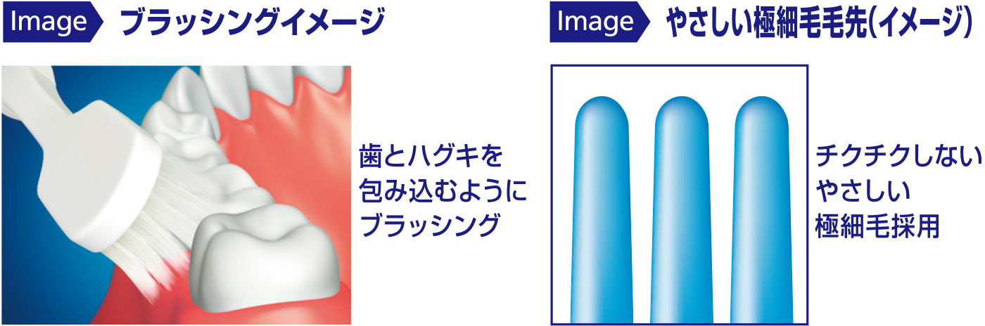 Point3 効率的にやさしくみがける 約4,200本のやさしい極細毛