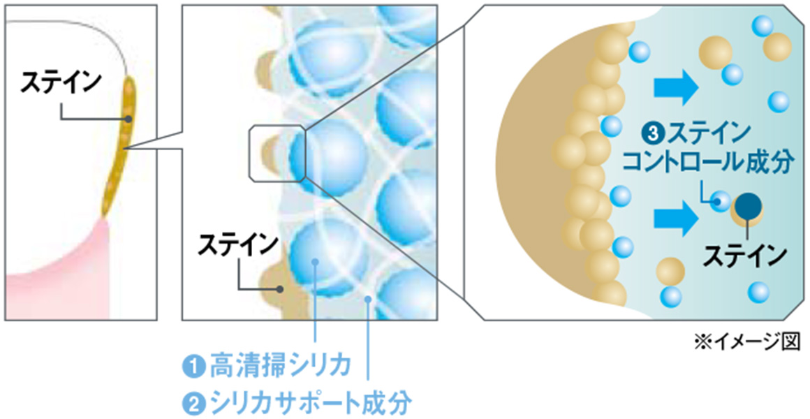 ステイン 1高清掃シリカ 2シリカサポート成分 3ステインコントロール成分 ※イメージ図