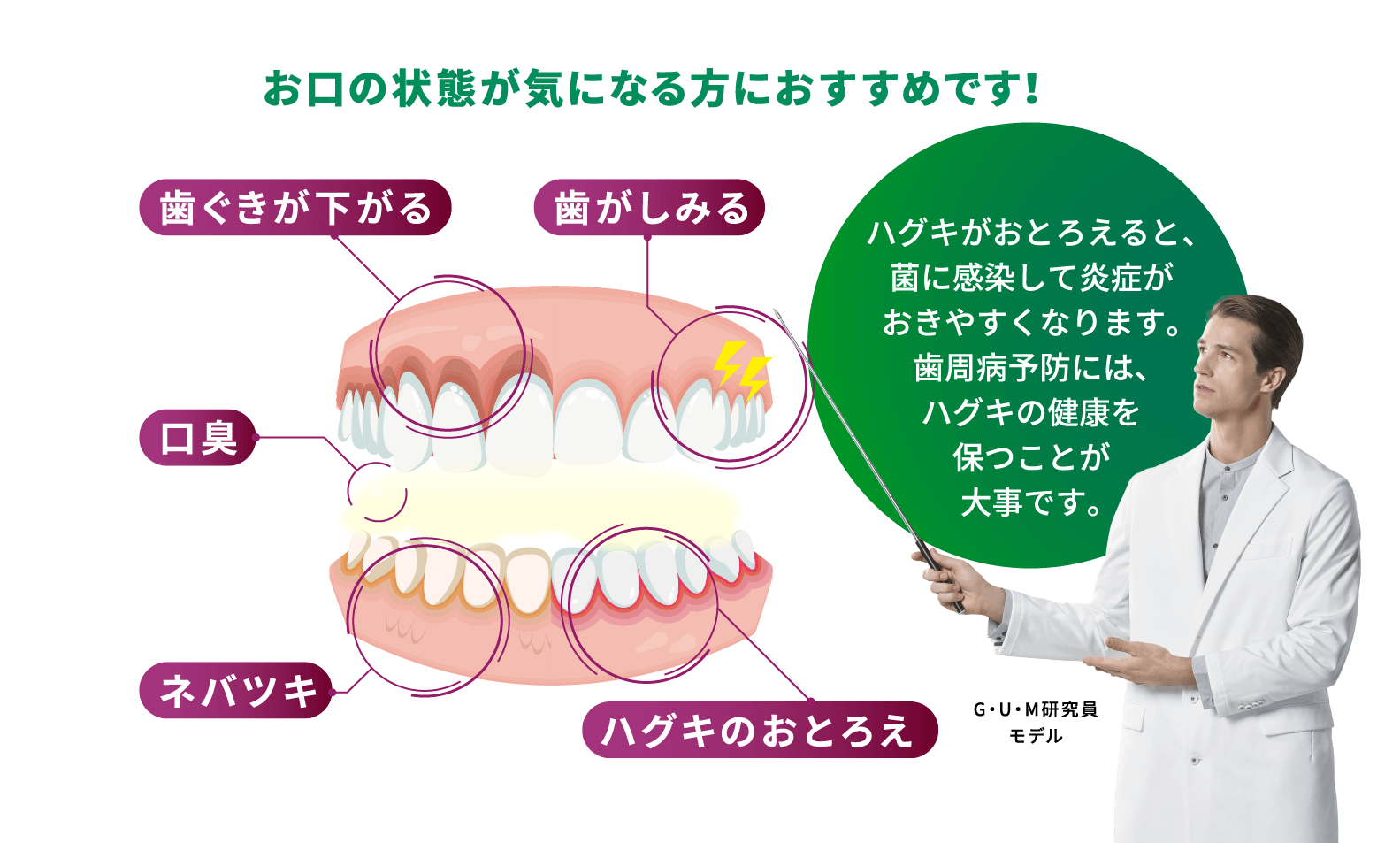 お口の状態が気になる方におすすめです！ 歯ぐきが下がる 歯がしみる 口臭 ネバツキ ハグキのおとろえ ハグキがおとろえると、菌に感染して炎症がおきやすくなります。歯周病予防には、ハグキの健康を保つことが大事です。 G・U・M研究員モデル