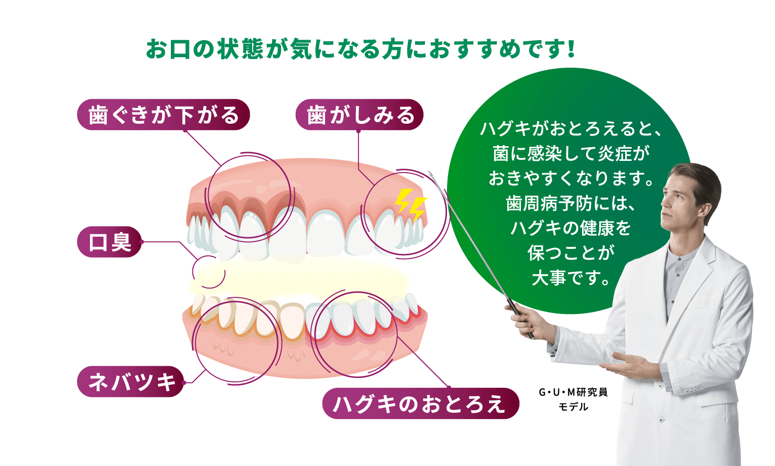 お口の状態が気になる方におすすめです! 歯ぐきが下がる 歯がしみる 口臭 ネバツキ ハグキのおとろえ ハグキがおとろえると、菌に感染して炎症がおきやすくなります。歯周病予防には、ハグキの健康を保つことが大事です。 G・U・M研究員モデル
