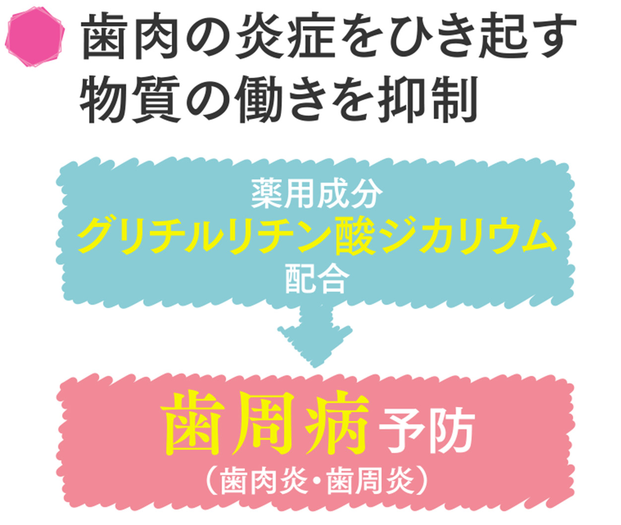 歯肉の炎症をひき起す物質の働きを抑制 薬用成分 グリチルリチン酸ジカリウム 配合 歯周病予防 (歯肉炎・歯周炎)
