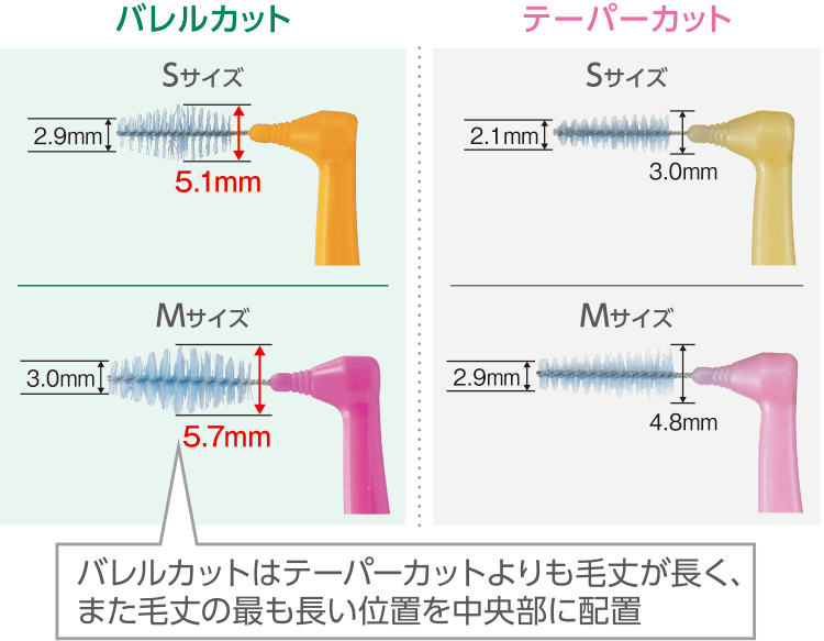 バレルカットはテーパーカットよりも毛丈が長く、また毛丈の最も長い位置を中央部に配置