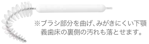 ※ブラシ部分を曲げ、みがきにくい下顎義歯床の裏側の汚れも落とせます。