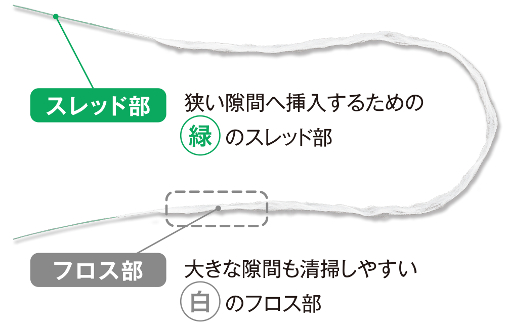 1本に緑と白の2つの役割!つい使ってみたくなるフロス