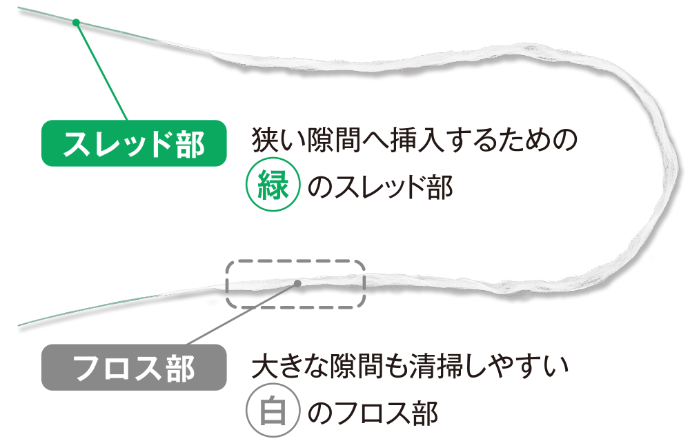 1本に緑と白の2つの役割！つい使ってみたくなるフロス